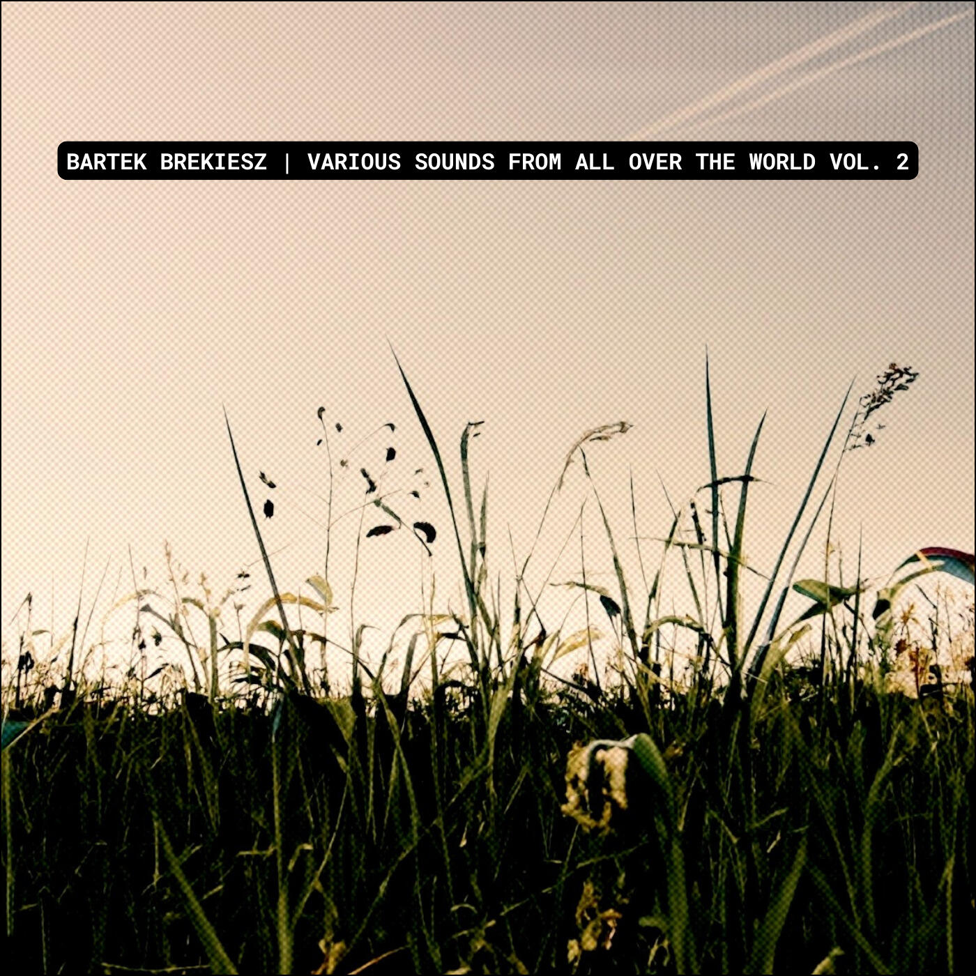 VARIOUS SOUNDS FROM ALL OVER THE WORLD VOL. 2